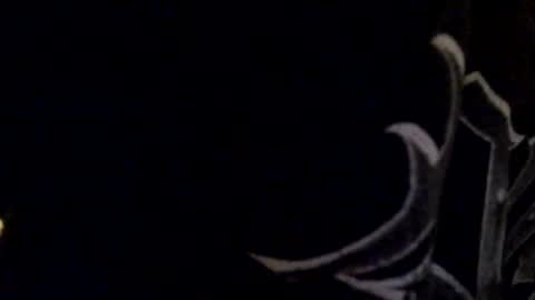Snapshot of tericmidnight chatting on 17, 5, 2026 Call me Jason online show from 17, 5, 2026