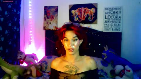 Terra obsession online show from 8, 6, 2026