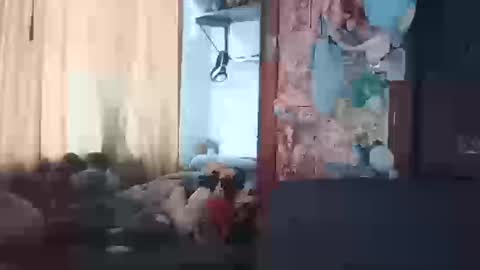 Terra Elowen online show from 20, 3, 2026