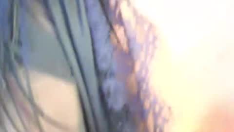 Tessa online show from 11, 5, 2026