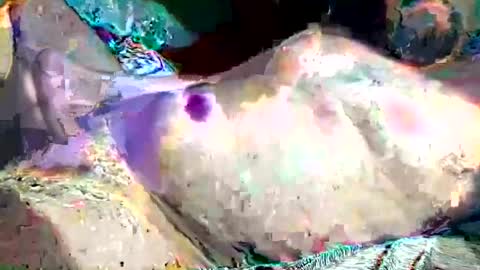 th3darksideofthemoon online show from 26, 2, 2025