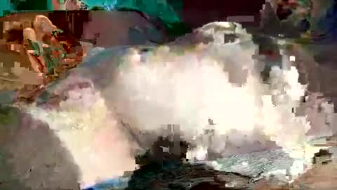 th3darksideofthemoon online show from 8, 3, 2025