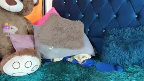 thania      sometimes in the company of Alan and Maria online show from 11, 1, 2026