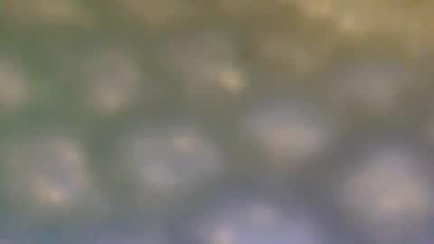 that_thing20 online show from 5, 3, 2025