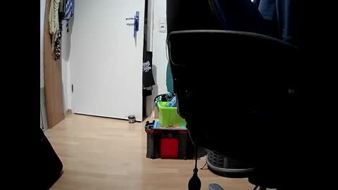 the75major online show from 20, 2, 2025