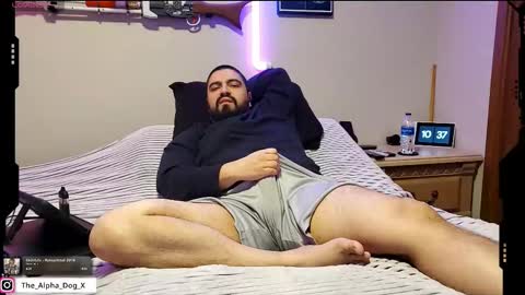 the_alpha_dog_xxx online show from 23, 2, 2026