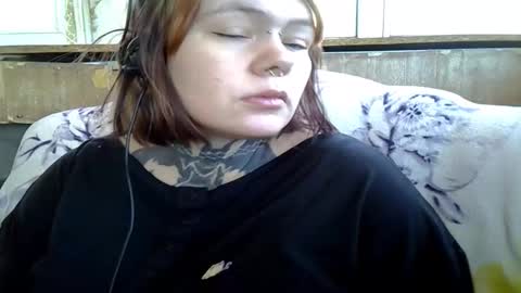 the_ice_owl online show from 2, 3, 2026