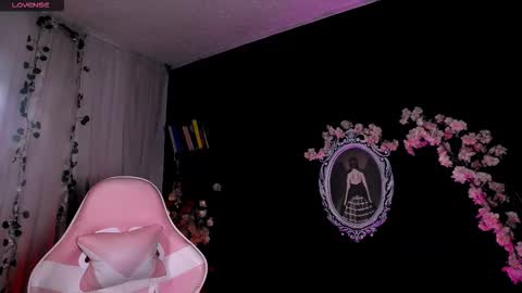 ...  ... online show from 20, 3, 2026