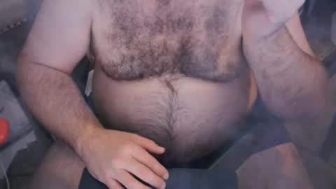 The Bear King online show from 1, 11, 2025