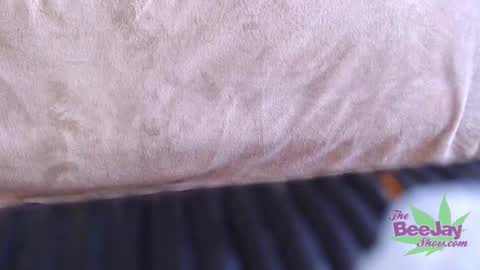 TheBeeJayShow online show from 4, 12, 2024