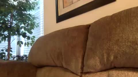 Harry online show from 26, 1, 2025