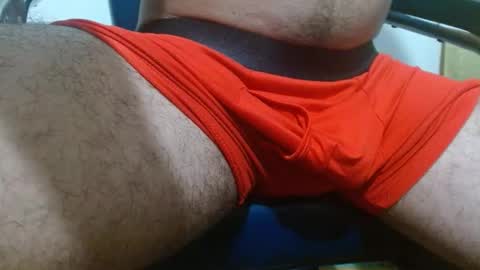 thehousedog online show from 25, 2, 2026