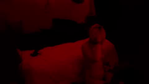 thehungmantis online show from 15, 10, 2025