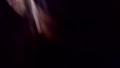 Snapshot of theprofessorxo chatting on 29, 9, 2025 theprofessorxo online show from 29, 9, 2025