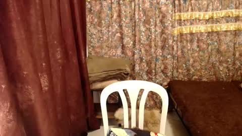 MIMI online show from 12, 2, 2025