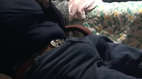 thetnguy online show from 11, 1, 2025