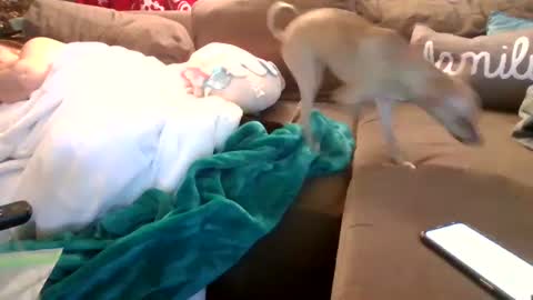 mellow online show from 5, 2, 2025