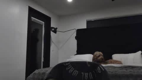 Snapshot of thiccbull12 chatting on 29, 6, 2026 thiccbull12 online show from 29, 6, 2026