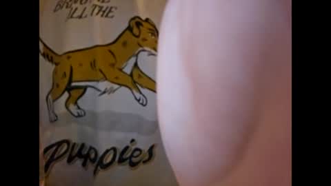 Snapshot of thisisfuckingfun chatting on 4, 3, 2025 ThisIsFuckingFun online show from 4, 3, 2025