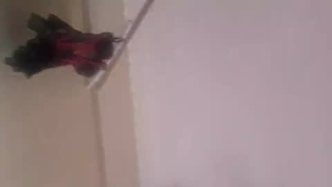 Thonas online show from 5, 11, 2025