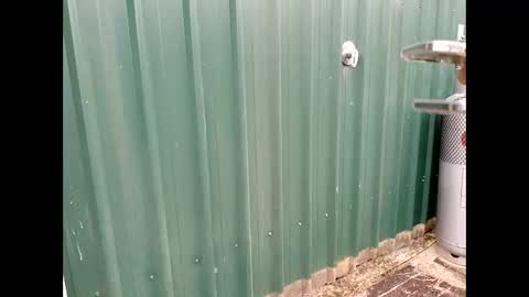 Snapshot of throbmasterr chatting on 12, 9, 2025 throbmasterr online show from 12, 9, 2025