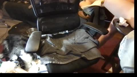 thundersword online show from 8, 3, 2025