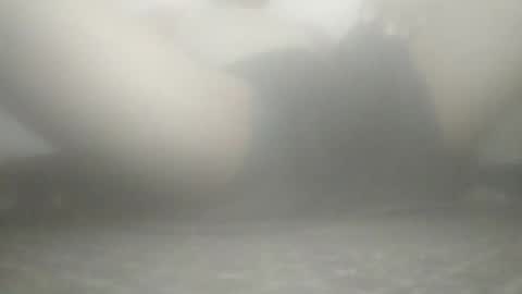 tiger005588 online show from 21, 11, 2025