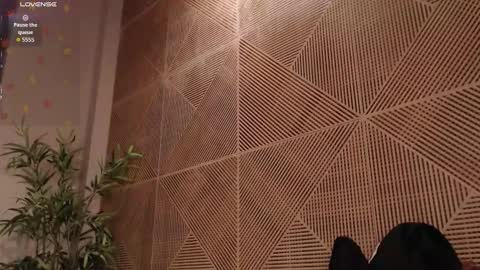 Tim Fox online show from 17, 2, 2026