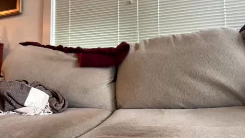 time4fun8837 online show from 15, 2, 2026