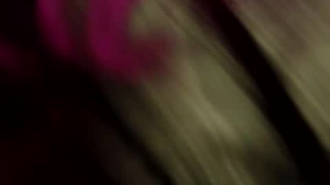 PixiePhat online show from 8, 3, 2026