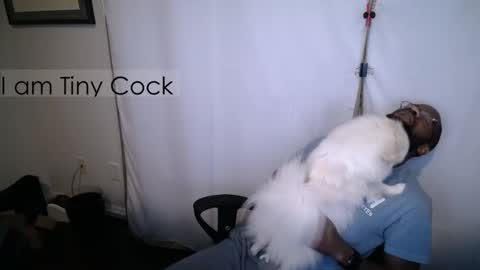 tinycock_1979 online show from 3, 11, 2025
