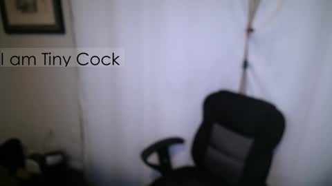 tinycock_1979 online show from 8, 11, 2025