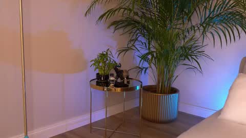 Snapshot of tinydoll_xo chatting on 11, 3, 2026 Anissa online show from 11, 3, 2026