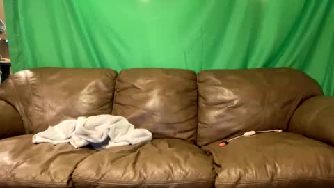 Snapshot of tjfemboi5641 chatting on 23, 10, 2025 tjfemboi5641 online show from 23, 10, 2025