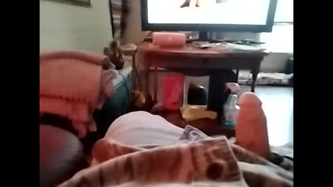 tjllagwbggrr online show from 5, 1, 2026