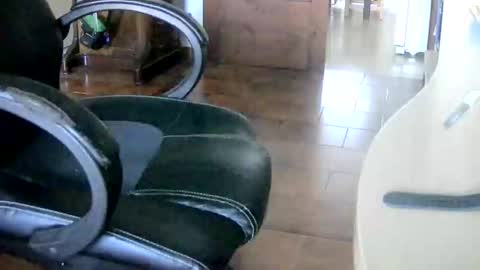 Tobiko online show from 12, 12, 2024