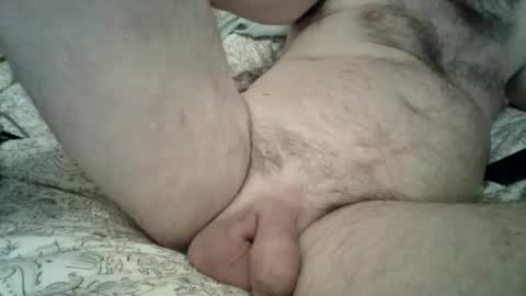 toddbells online show from 13, 2, 2026