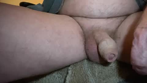 Togbear online show from 2, 2, 2025