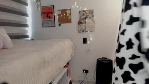 Snapshot of toky222 chatting on 20, 2, 2026 Tokyo online show from 20, 2, 2026