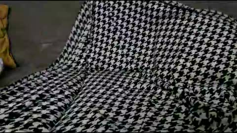 Bima online show from 24, 9, 2025