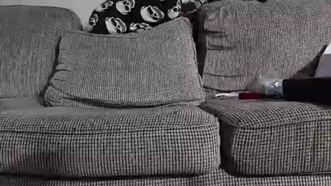 tomnor13 online show from 9, 3, 2026