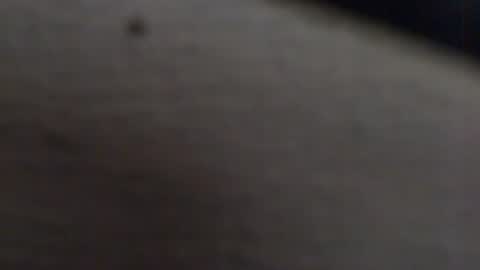 tony2700targa online show from 13, 1, 2025