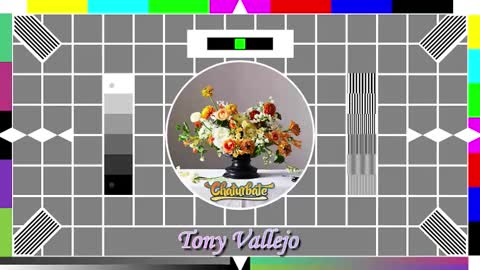 Tony V online show from 14, 10, 2025