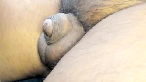 tonyisback2023 online show from 2, 3, 2025