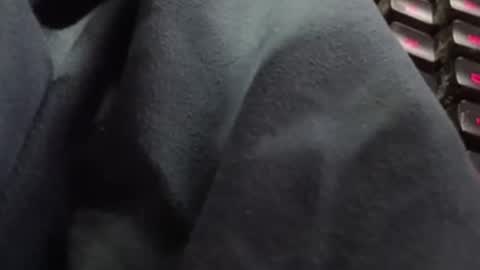 tonysafari online show from 27, 2, 2025