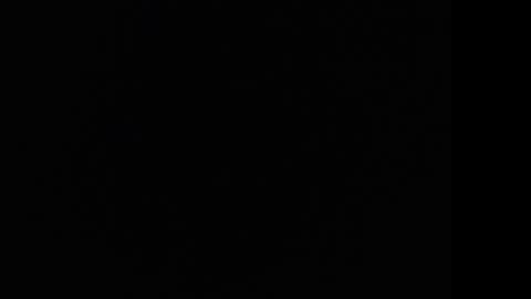 tooobvious online show from 10, 1, 2025