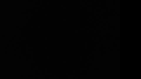 tooobvious online show from 10, 1, 2025