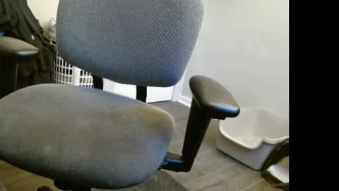 tooobvious online show from 6, 3, 2025