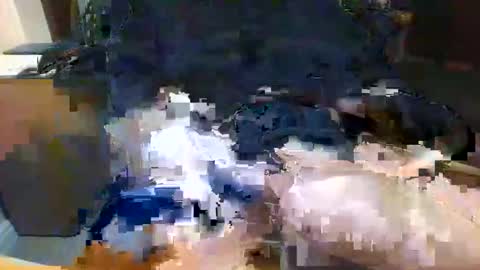 Topcat127 online show from 5, 2, 2026