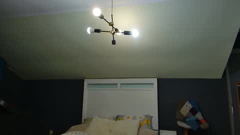 Anda online show from 23, 2, 2026